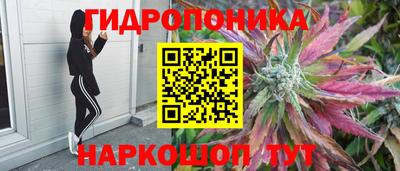 шишки Ипатово