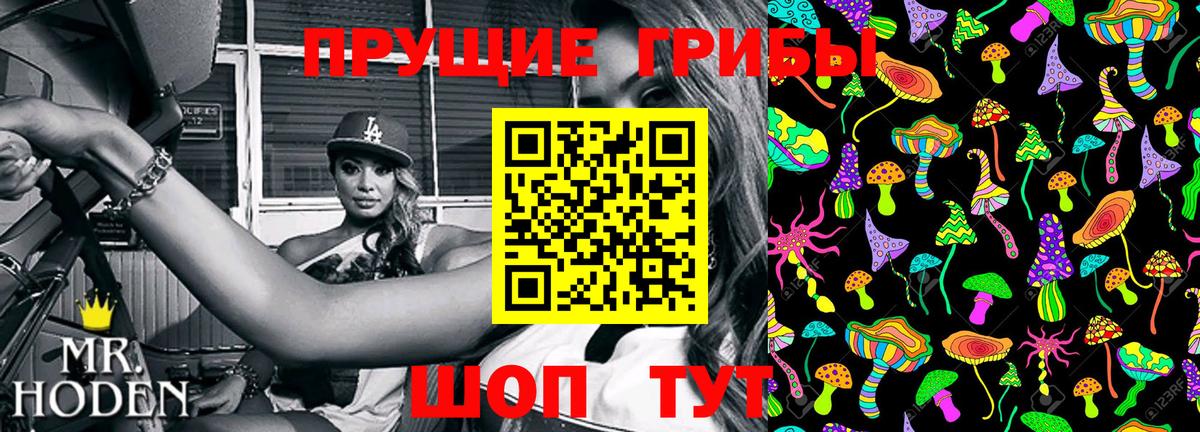 Люберцы  Псилоцибиновые грибы GOLDEN TEACHER  Вход с VPN 